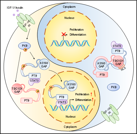 1764767255196737.png 1764767255196737.png