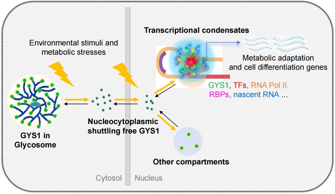 1765282375668892.png 1765282375668892.png