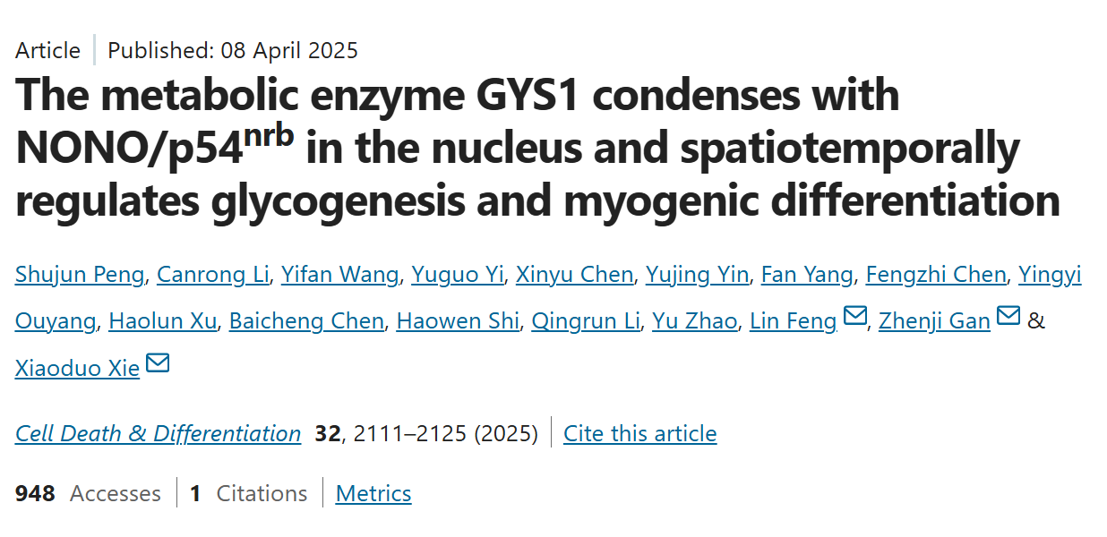 1765282395140171.png 1765282395140171.png