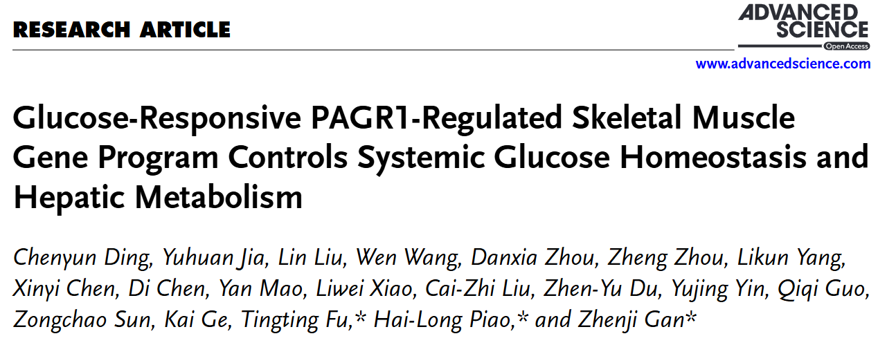 1765421545255312.png 1765421545255312.png