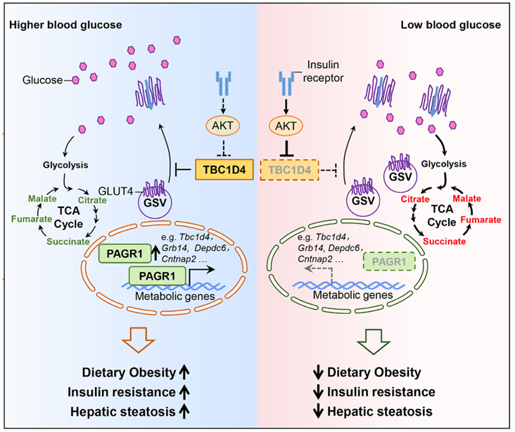 1765421565149369.png 1765421565149369.png