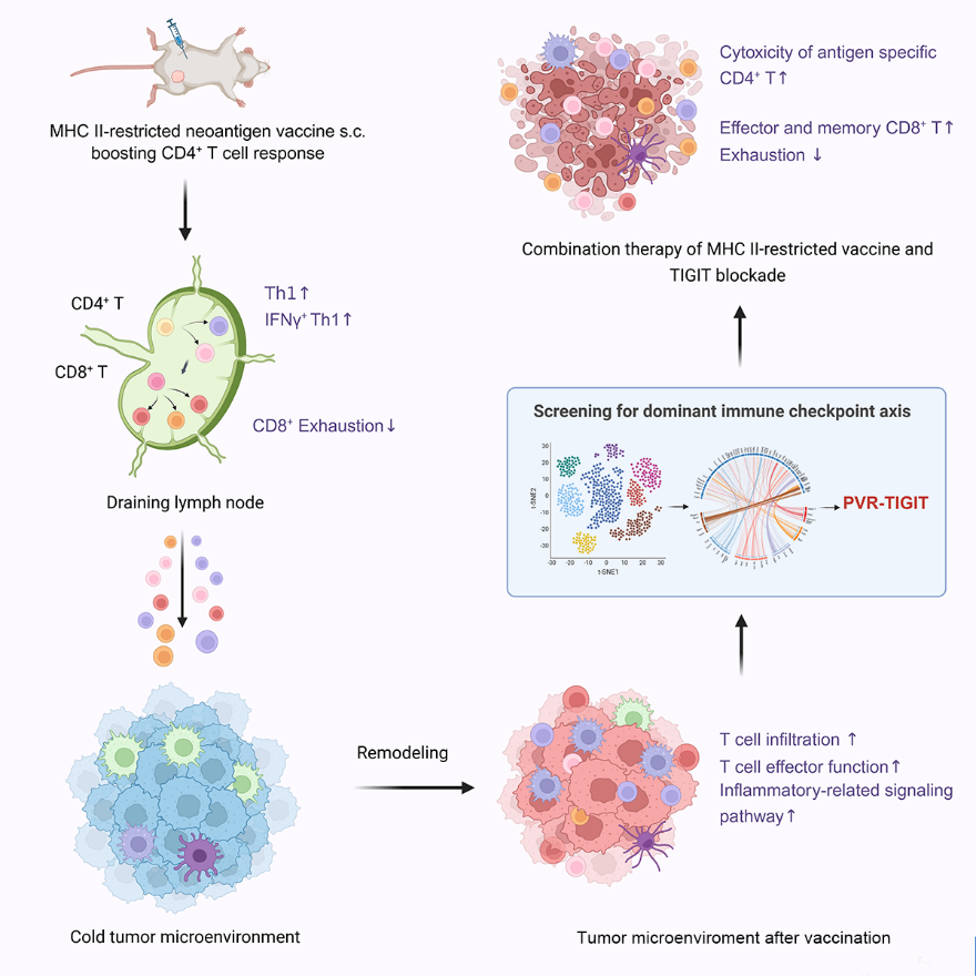 1765426187565062.png 1765426187565062.png