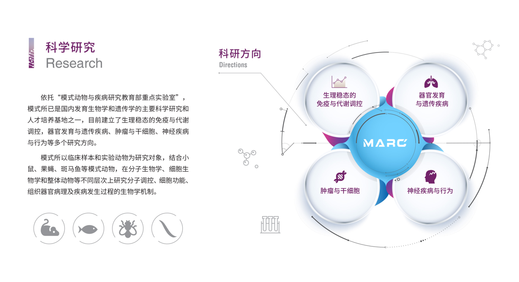 南京大学医学院模式动物研究所 2026 年暑期开放日活动报名通知 南京大学医学院模式动物研究所 2026 年暑期开放日活动报名通知